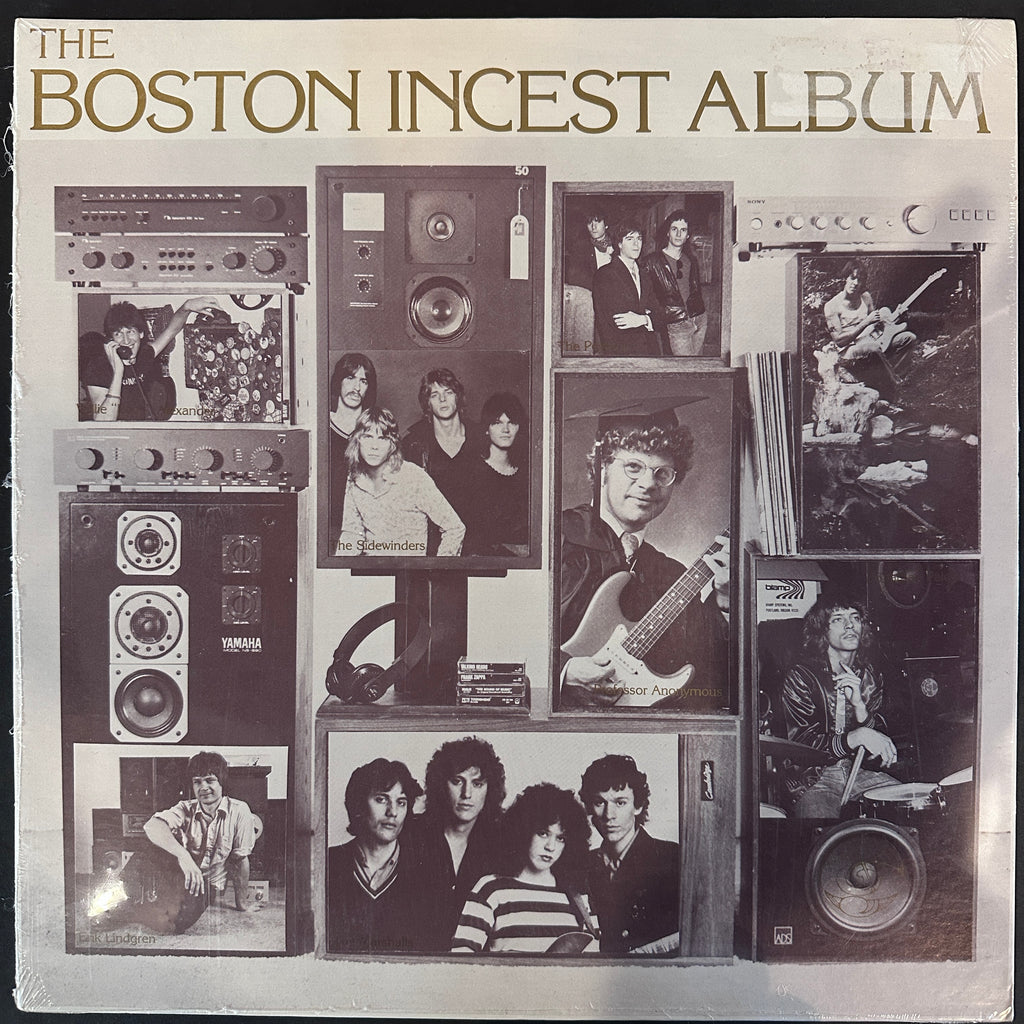 THE BOSTON INCEST ALBUM