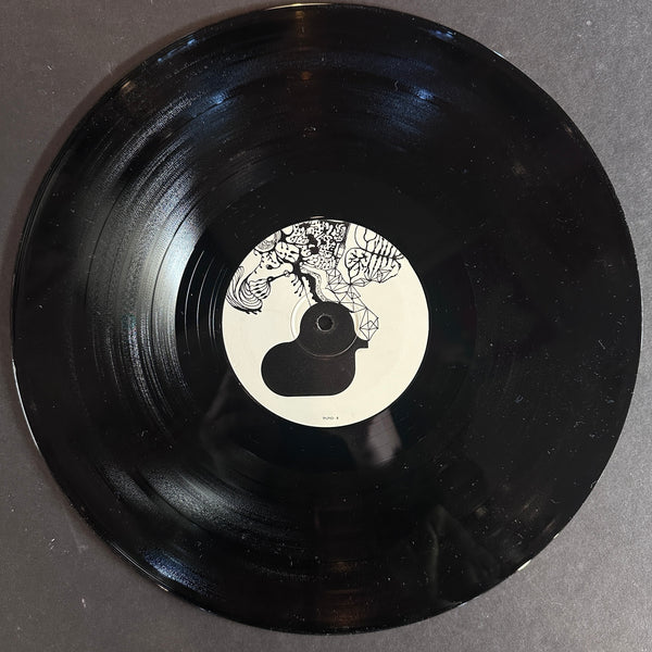 BJORK VESPERTINE