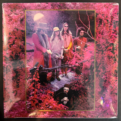 CAPTAIN BEEFHEART AND HIS MAGIC BAND GROW FINS VOL. 2
